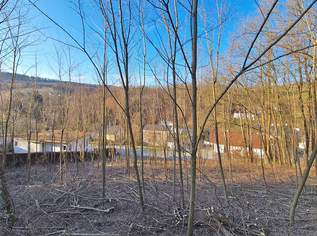 Sonniges Baugrundstück auf Südwest-Hang im Irenental, 420000 €, Immobilien-Grund und Boden in Niederösterreich