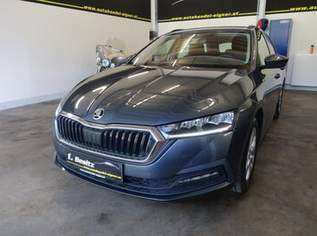 Octavia Business, 14900 €, Auto & Fahrrad-Autos in 6706 Gemeinde Bürs