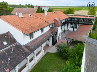 Charmantes Bauernhaus mit großem Grundstück, langgezogenem Hof, 2 Wohnungen und einem Swimmingpool, 560000 €, Immobilien-Häuser in 2301 Gemeinde Groß-Enzersdorf