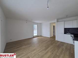Großzügige Terassenwohnung mit Fernblick, 1025 €, Immobilien-Wohnungen in 1230 Liesing