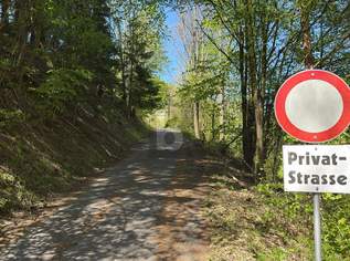 EINZELLAGE IM GRÜNEN MIT HERRLICHEM PANORAMA UND 2 GROSSEN NEBENGEBÄUDEN, 895000 €, Immobilien-Häuser in 2803 Gemeinde Schwarzenbach EINZELLAGE IM GRÜNEN MIT HERRLICHEM PANORAMA UND 2 GROSSEN NEBENGEBÄUDEN, 895000 €, Immobilien-Häuser in 2803 Gemeinde Schwarzenbach