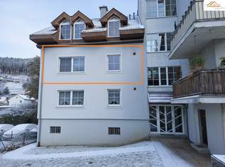 Sonnige 3-Zimmer-Wohnung mit Carport und Grünblick, 790 €, Immobilien-Wohnungen in 2840 Grimmenstein