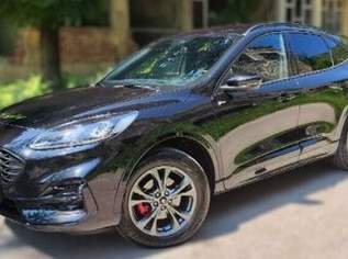 KUGA 2,5 Hybrid *ST-Line X* I AUTOMATIK I ALLRAD I, 26880 €, Auto & Fahrrad-Autos in Niederösterreich KUGA 2,5 Hybrid *ST-Line X* I AUTOMATIK I ALLRAD I, 26880 €, Auto & Fahrrad-Autos in Niederösterreich