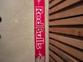 Red Bull Schal Fanschal