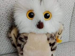 Steiff Stofftier Eule Wittie ca 19cm, mit Steiff Knopf und gelbe Fahne am Flügel, FIXPREIS 25€/ NUR SELBSTABHOLUNG,23 Bez. KEIN Versand!, 25 €, Kindersachen-Spielzeug in 1230 Liesing
