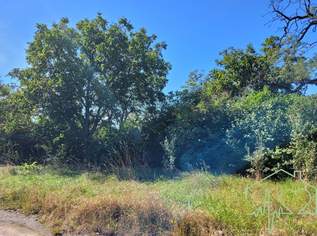 GRUNDSTÜCK mit Architektur-Entwurfsplanung - 9 WOHNUNGEN in Zentrumsnähe, 209000 €, Immobilien-Grund und Boden in 7350 Oberpullendorf