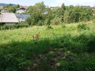 Großzügiges Baugrundstück in Natternbach, 85000 €, Immobilien-Grund und Boden in 4723 Natternbach