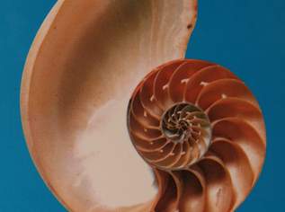 Jugend-Sachbuch "Spannendes aus dem Reich der Natur"