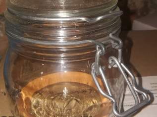 Einmachgläser (14 St. zu ½ Liter, Drahtbügelglas), 3 €, Haus, Bau, Garten-Geschirr & Deko in 1170 Hernals Einmachgläser (14 St. zu ½ Liter, Drahtbügelglas), 3 €, Haus, Bau, Garten-Geschirr & Deko in 1170 Hernals