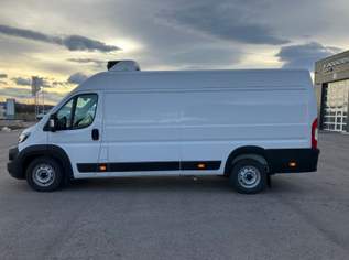 Ducato KW Maxi L4H2 140 Kühlausbau, 63600 €, Auto & Fahrrad-Autos in 2721 Gemeinde Bad Fischau-Brunn