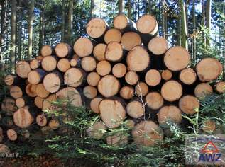 Leistbarer Mischwald zu verkaufen!, 0 €, Immobilien-Grund und Boden in 5310 Mondsee