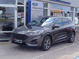 Kuga 1,5 EcoBlue ST-Line Aut., 24390 €, Auto & Fahrrad-Autos in 4614 Marchtrenk
