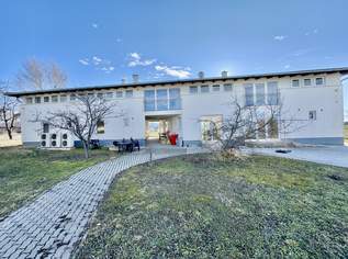 GEWERBEIMMOBILIE MIT 2 GEBÄUDEN IN GERASDORF ZUM SCHNÄPPCHENPREIS, 1295000 €, Immobilien-Gewerbeobjekte in 2201 Gerasdorf bei Wien
