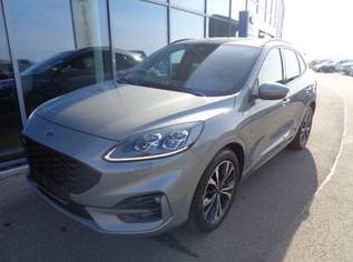 Kuga ST-Line X mild Hybrid 150PS Diesel, 21900 €, Auto & Fahrrad-Autos in 4786 Brunnenthal Kuga ST-Line X mild Hybrid 150PS Diesel, 21900 €, Auto & Fahrrad-Autos in 4786 Brunnenthal