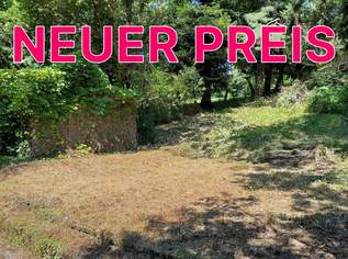 Großzügiges Baugrundstück mit Abbruchhaus und Grünlandanteil Nähe Purkersdorf, 295000 €, Immobilien-Grund und Boden in Niederösterreich