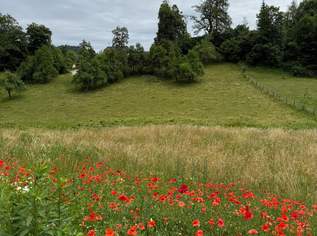 Schönes, sonniges Grundstück in herrlicher Lage in Maria Rain, 95000 €, Immobilien-Grund und Boden in 9161 Maria Rain