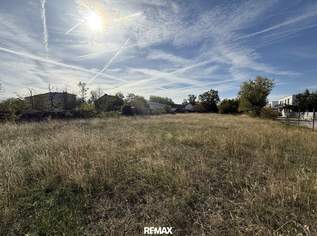 Ebenes großes Grundstück in zentraler Lage mit ca. 1.878 m2, 225360 €, Immobilien-Grund und Boden in 2425 Nickelsdorf Ebenes großes Grundstück in zentraler Lage mit ca. 1.878 m2, 225360 €, Immobilien-Grund und Boden in 2425 Nickelsdorf