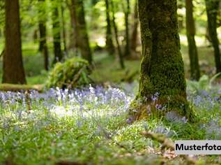 Waldfläche + provisionsfrei +, 2700 €, Immobilien-Grund und Boden in 9473 Lavamünd