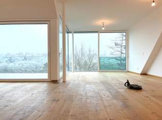 Erstbezug! 4-Zimmer-Penthouse mit Dachgarten und Dachterrasse nahe Lainzer Tor, 1299000 €, Immobilien-Wohnungen in 1130 Hietzing