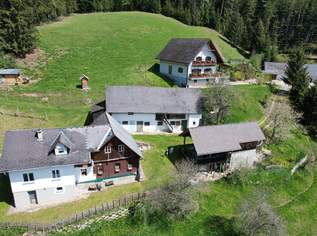 Ein Paradies in Alleinlage - Exklusives Anwesen an der Teichalm, 0 €, Immobilien-Häuser in 8163 Fladnitz an der Teichalm Ein Paradies in Alleinlage - Exklusives Anwesen an der Teichalm, 0 €, Immobilien-Häuser in 8163 Fladnitz an der Teichalm