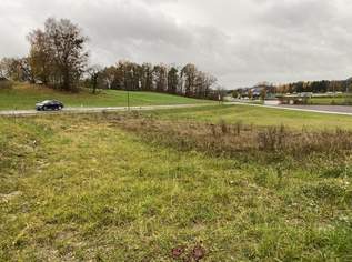 Mein Baugrund in Münzbach: nur mehr 1 Baugrund verfügbar-Neuer Preis!, 87147 €, Immobilien-Grund und Boden in 4323 Münzbach Mein Baugrund in Münzbach: nur mehr 1 Baugrund verfügbar-Neuer Preis!, 87147 €, Immobilien-Grund und Boden in 4323 Münzbach