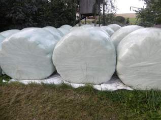 Siloballen Silageballen Silorundballen Silagerundballen, 25 €, Marktplatz-Tiere & Tierbedarf in 3622 Gemeinde Mühldorf Siloballen Silageballen Silorundballen Silagerundballen, 25 €, Marktplatz-Tiere & Tierbedarf in 3622 Gemeinde Mühldorf