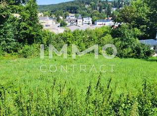 BESTE ANLAGE: WUNDERBARES Baugrundstück für Ihr Traumhaus in Pressbaum !, 0 €, Immobilien-Grund und Boden in 3021 Pressbaum