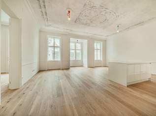 Repräsentative Wohnung in top Lage zu vermieten-ZWEITBEZUG, 3000 €, Immobilien-Wohnungen in 1070 Neubau