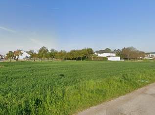 Chikago, Chikago!, 255740 €, Immobilien-Grund und Boden in 2421 Kittsee