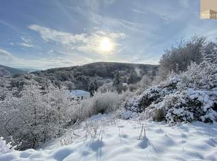 Exklusives Grundstück in unvergleichlicher Grünruhelage, 999000 €, Immobilien-Grund und Boden in 2372 Gießhübl