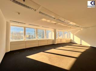 360 TOUR // NEUBAU - BÜROFLÄCHEN im ANDOMEDA TOWER, 6384.18 €, Immobilien-Gewerbeobjekte in 1220 Donaustadt
