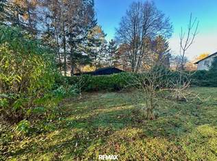 Tiny-Haus-Idylle im Weinviertel – Ihr Platz für die Zukunft!, 110000 €, Immobilien-Grund und Boden in 2130 Lanzendorf Tiny-Haus-Idylle im Weinviertel – Ihr Platz für die Zukunft!, 110000 €, Immobilien-Grund und Boden in 2130 Lanzendorf