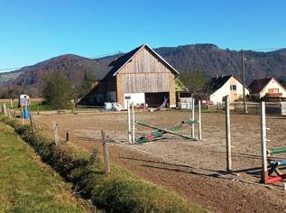 Landwirtschaft 11 ha, mit Hofstelle, Wald und Wiese, 660000 €, Immobilien-Häuser in 9371 Brückl