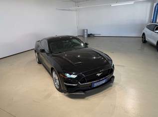 Mustang 2,3 EcoBoost Aut. *TOP Zustand*, 34900 €, Auto & Fahrrad-Autos in 4600 Wels