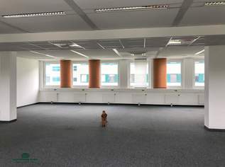 Großzügige moderne Büroeinheit im Norden Salzburgs, 5886.5 €, Immobilien-Gewerbeobjekte in 5020 Salzburg