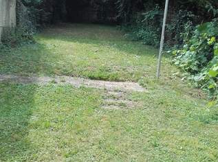 Kurzzeitmiete, Wohnen auf Zeit, nähe Hauptbahnhof, profisionsfrei Kurzzeitmiete, Wohnen auf Zeit, nähe Hauptbahnhof, profisionsfrei