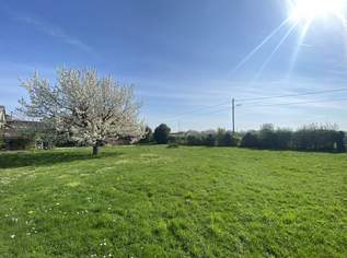 SONNIG + RUHELAGE + PERFEKTER BAUGRUND + OPTIMAL auch für DOPPELHÄUSER + GUTE Grundstückskonfiguration!, 400000 €, Immobilien-Grund und Boden in 1220 Donaustadt SONNIG + RUHELAGE + PERFEKTER BAUGRUND + OPTIMAL auch für DOPPELHÄUSER + GUTE Grundstückskonfiguration!, 400000 €, Immobilien-Grund und Boden in 1220 Donaustadt