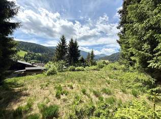 Sonniges Baugrundstück mit eigenem Waldbestand – seltene Kombination in bester Lage von Neuberg!, 459000 €, Immobilien-Grund und Boden in 5532 Filzmoos