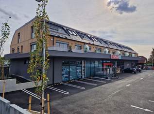 HELLE FAMILIENWOHNUNG MIT HERRLICHER WESTSEITIGER SONNENTERRASSE - PROVISIONSFREI - SCHLÜSSELFERTIG INKL. BAD UND OPTIONAL MIT TIEFGARAGENPARKPLATZ, 347660 €, Immobilien-Wohnungen in 3470 Kirchberg am Wagram