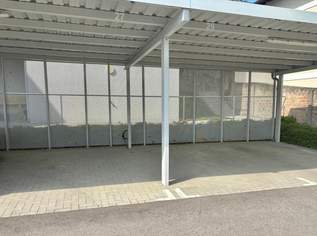 Stellplatz in Schleinbach zu verkaufen, 6900 €, Immobilien-Kleinobjekte & WGs in 2123 Schleinbach