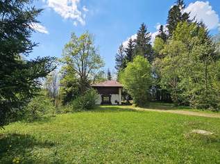 Grundstück mit Altbestand und Freizeitwohnsitz, Rettenschöß, 890000 €, Immobilien-Grund und Boden in 6347 Gemeinde Rettenschöss Grundstück mit Altbestand und Freizeitwohnsitz, Rettenschöß, 890000 €, Immobilien-Grund und Boden in 6347 Gemeinde Rettenschöss
