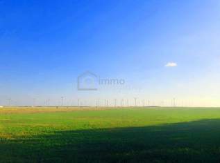 Ergiebig einträgliche landwirtschaftliche Nutzfläche, 429325 €, Immobilien-Grund und Boden in 2424 Zurndorf