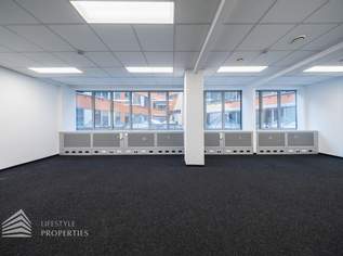 Modernes 6-Zimmer Büro mit Terrasse! Nähe Schwarzenbergplatz, 4935.36 €, Immobilien-Gewerbeobjekte in 1030 Landstraße