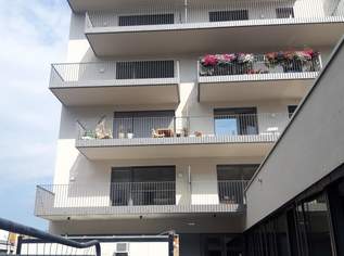 2-Zimmer Neubauwohnung mit Loggia im VKB Park Mercurius - 51,96 m² WFL + 14,85 m² Balkon-ab Mai 2026, 847.8 €, Immobilien-Wohnungen in 4600 Wels