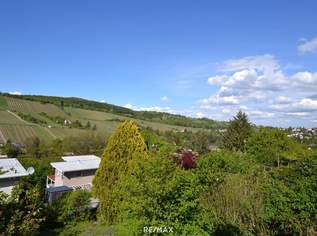 Ruhige Grünlage mit Weinbergblick – Pachtgrundstück mit Sommerhäuschen & Neubau-Möglichkeit!, 199000 €, Immobilien-Grund und Boden in 1190 Döbling