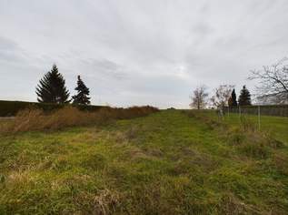 Traumhaftes Baugrundstück in Niederösterreich - Platz für ZWEI Eigenheim für nur 699.000€!, 699000 €, Immobilien-Grund und Boden in 2331 Vösendorf Traumhaftes Baugrundstück in Niederösterreich - Platz für ZWEI Eigenheim für nur 699.000€!, 699000 €, Immobilien-Grund und Boden in 2331 Vösendorf