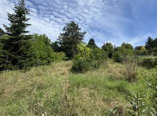 Seltenes Bauträgergrundstück mit Bestandshaus – 4.356 m², 4–5 Bauparzellen möglich, Klosterneuburg, 0 €, Immobilien-Grund und Boden in 3400 Gemeinde Klosterneuburg