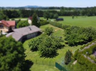 Sonniger Baugrund in Eugendorf (Baugrund I), 445000 €, Immobilien-Grund und Boden in 5301 Eugendorf