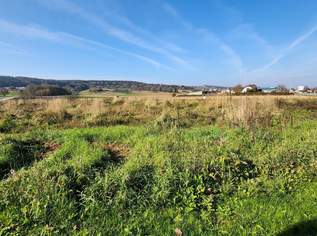GENIALER GEWERBEGRUND IN THERMENNÄHE!, 598000 €, Immobilien-Grund und Boden in 8271 Bad Waltersdorf