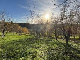 6.026m² Land und Forstwirtschaftliche Fläche in Ruppersdorf, 24105 €, Immobilien-Grund und Boden in 8362 Ruppersdorf